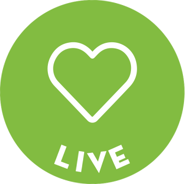 4 Step Process Icon Live 2