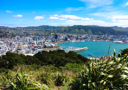 wellington_main