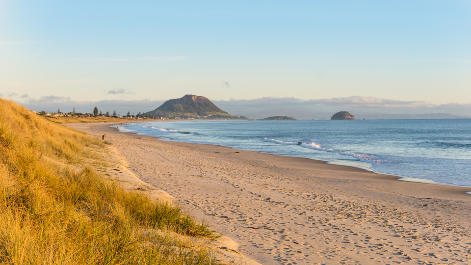 Bay of Plenty