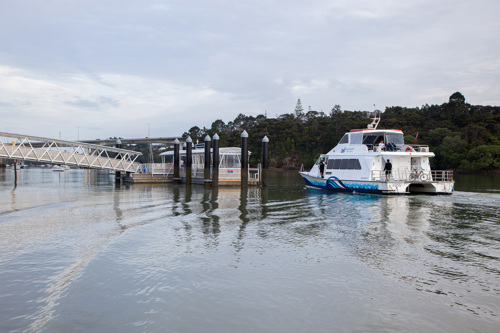 Hobsonville Point Ferry